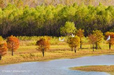 DSC_1370-2.jpg