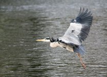 DSC_0020.jpg