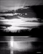The Independence Bay Sunset in Black & White II.jpg