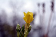 DSC_3065.jpg