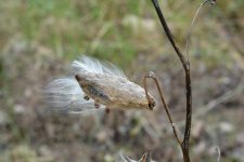DSC_3082.jpg
