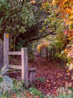 The-Path2-.jpg