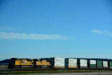 DSC_7631.JPG