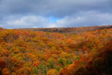 DSC_7644.JPG
