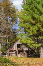 DSC_1417.jpg
