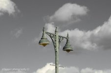 DSC_1422.jpg