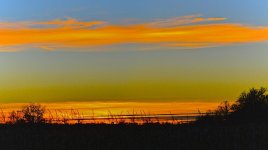 DSC_6172.jpg