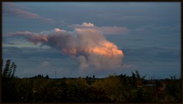 DSC_0015.jpg