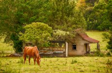 NEW_1327_HDR_webshot.jpg