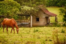 NEW_1336_HDR_webshot.jpg