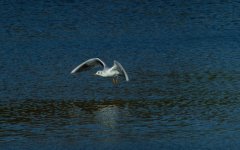 DSC_3114.jpg