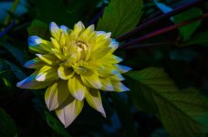 DSC_3129.jpg