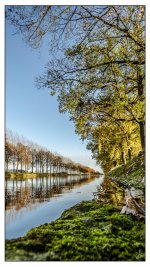 145-Edit.jpg