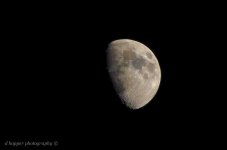 DSC_1479.jpg