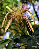DSC_0116.jpg