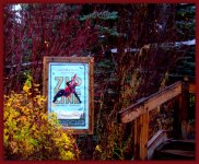 Sundance Zipline.jpg