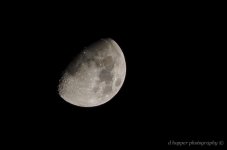 DSC_1495.jpg