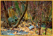 Sundance Landscape.jpg