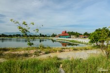 temple-lake-1.jpg