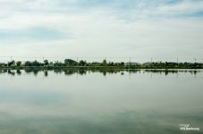horizon-1.jpg