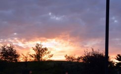 DSC_3135.jpg