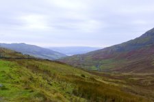 DSC_1449.jpg