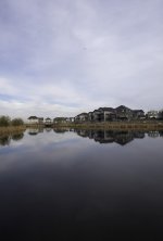 DSC_0964.jpg