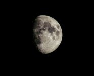 DSC_3224.jpg