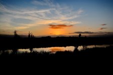 DSC_5592.jpg