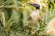 NEW_1372-webshot.jpg