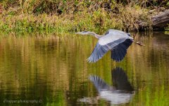 DSC_1674.jpg