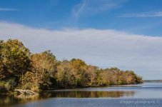 DSC_1529.jpg