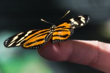 Tn-Aquarium--12.jpg