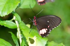 Tn-Aquarium--5.jpg