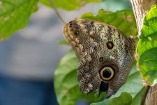 Tn-Aquarium--7.jpg