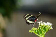Tn-Aquarium--8.jpg
