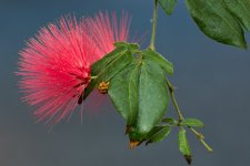 Tn-Aquarium--13.jpg
