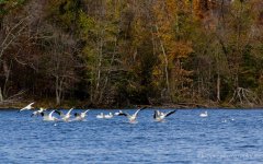 DSC_1654.jpg