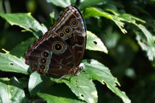 Tn-Aquarium--4.jpg