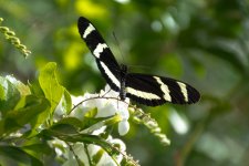 Tn-Aquarium-2677.jpg