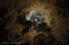 DSC_1691.jpg