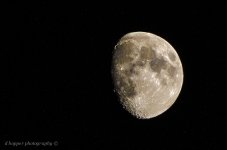 DSC_1696.jpg