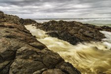 NEW_1390_webshot.jpg