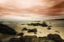 NEW_1384_webshot.jpg