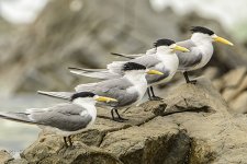 NEW_1437_webshot.jpg