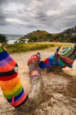 NEW_1512_HDR_webshot.jpg
