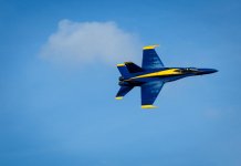 DSC_3782.jpg