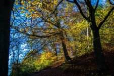 DSC_3271.jpg