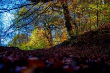 DSC_3293.jpg