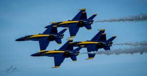 DSC_3795.jpg
